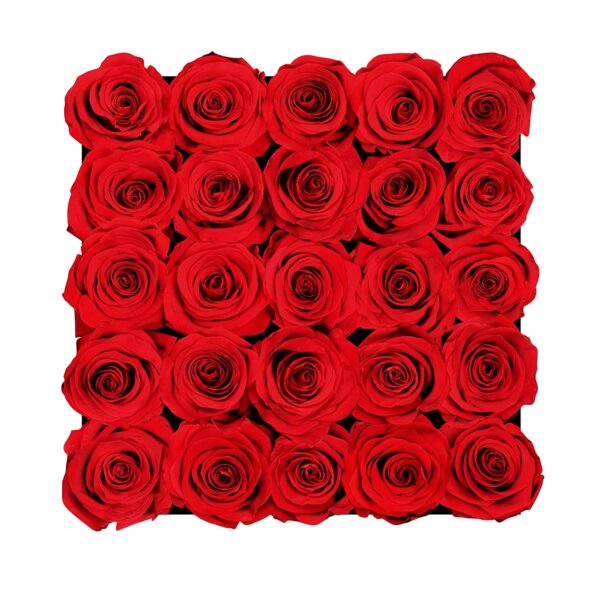 Square Box 25 Red Roses