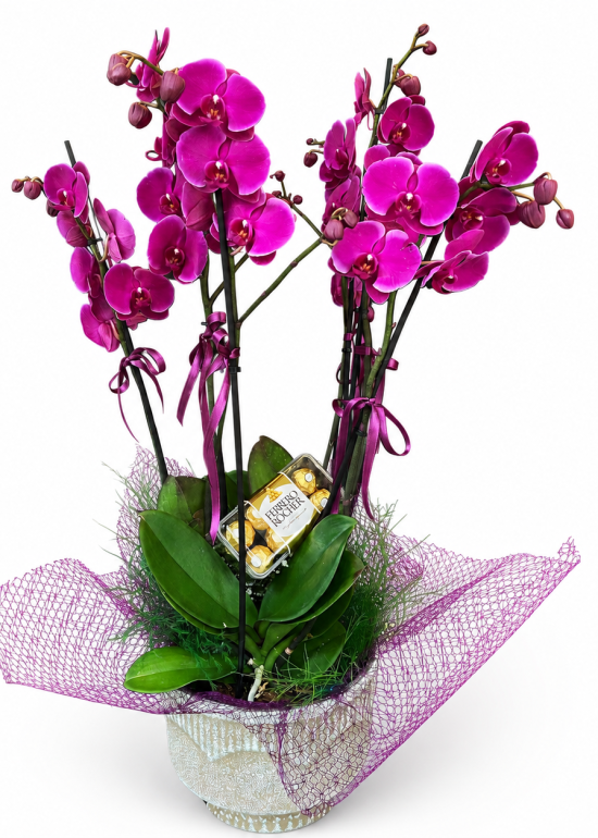 Purple Orchid Garden & Ferrero Rocher