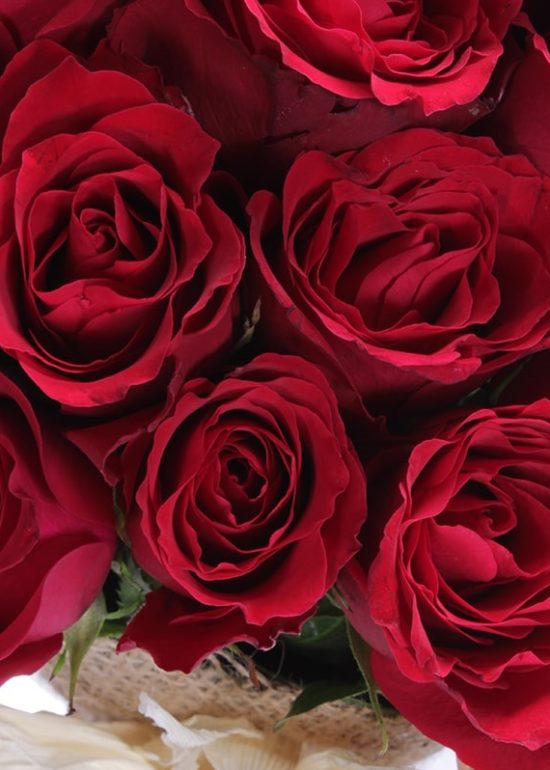 19 Red Roses
