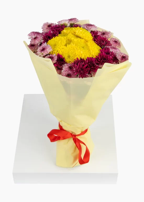 20 Mixed Chrysanthemums