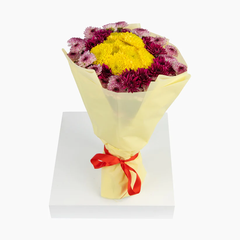 20 Mixed Chrysanthemums 2 20 Mixed Chrysanthemums