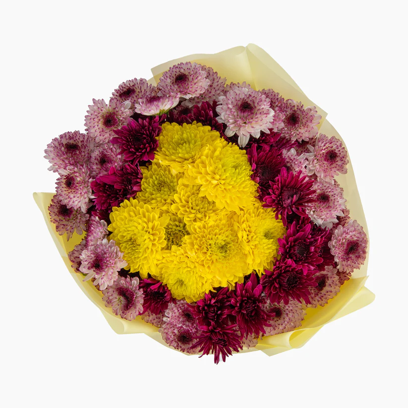 20 Mixed Chrysanthemums 3