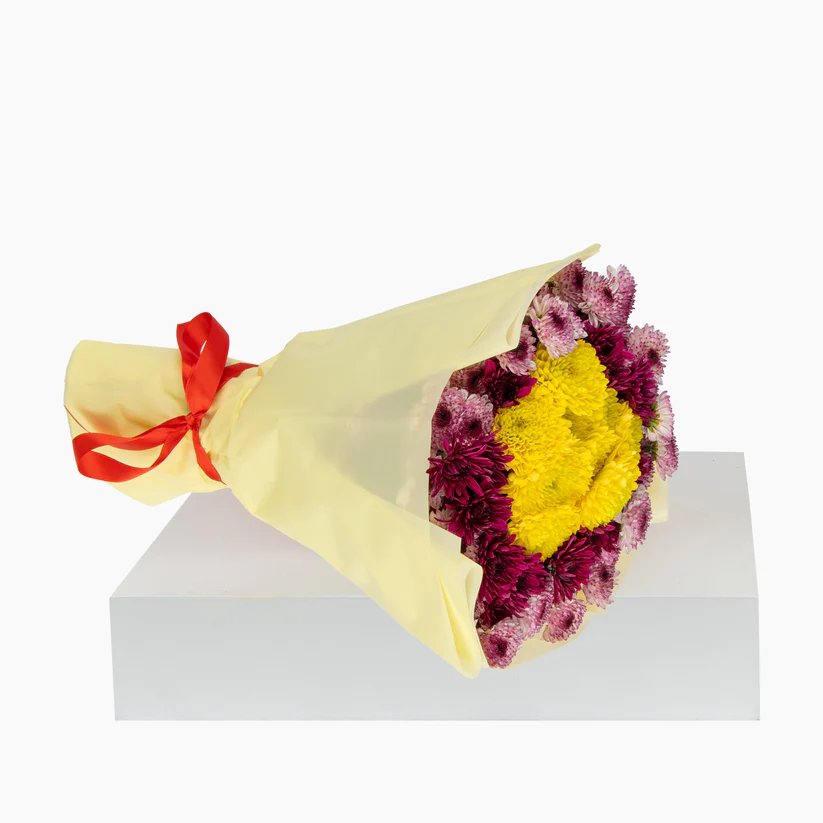 20 Mixed Chrysanthemums