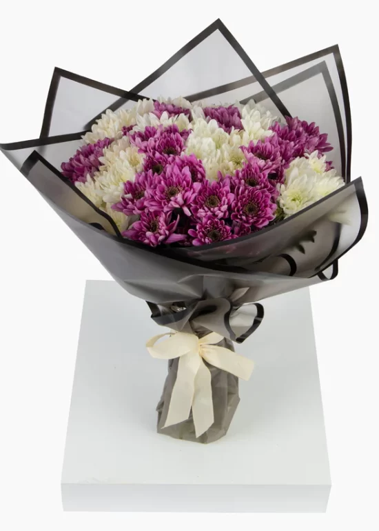20 Purple & White Chrysanthemums
