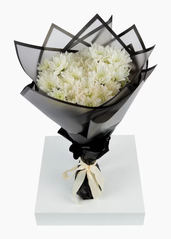 20 White Chrysanthemums