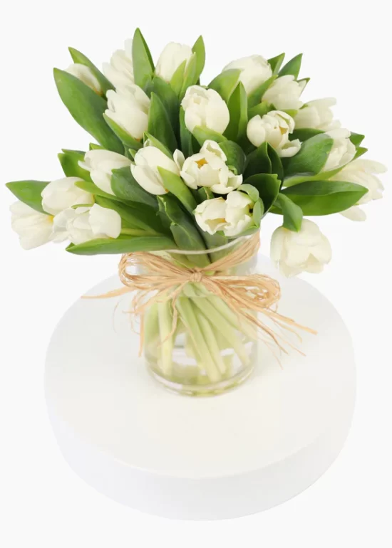 20 White Tulips