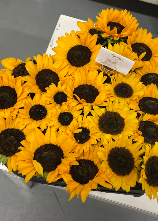 Heart Shape Box Sun Flowers