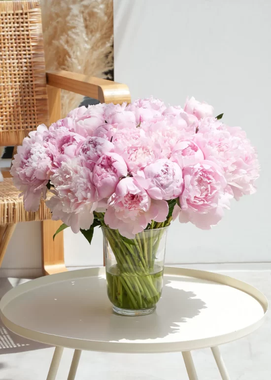50 Dreamy Pink Peony
