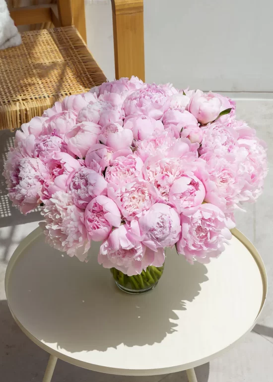 50 Dreamy Pink Peony