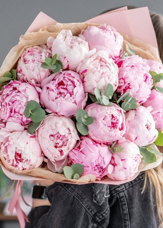 15 Pink Peony