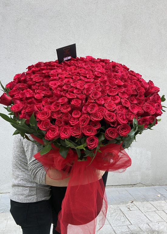 301 Red Roses Deluxe Alcyoneus