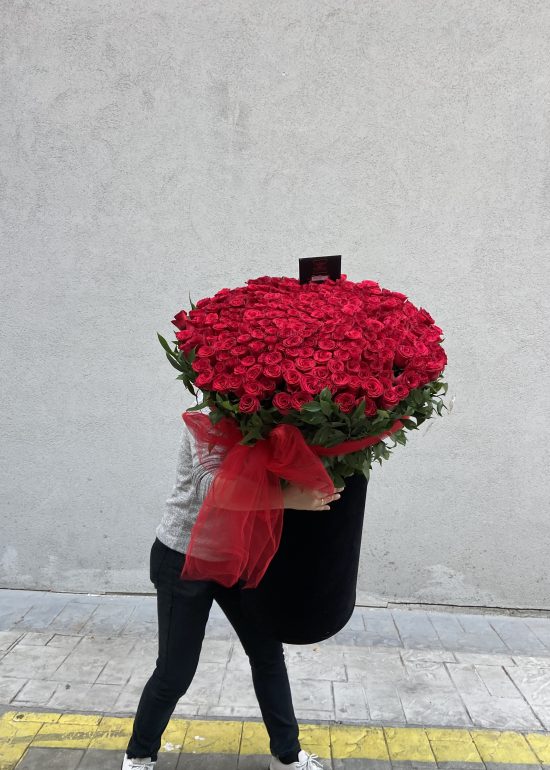 301 Red Roses Deluxe Alcyoneus