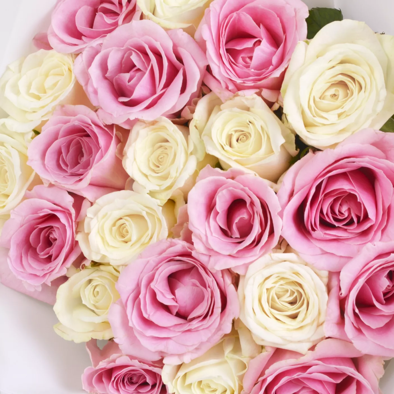21 White Pink Mixed Roses - Local Florist Istanbul - Send Flower- Same ...