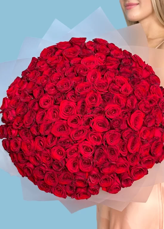 VIP 151 Red Roses