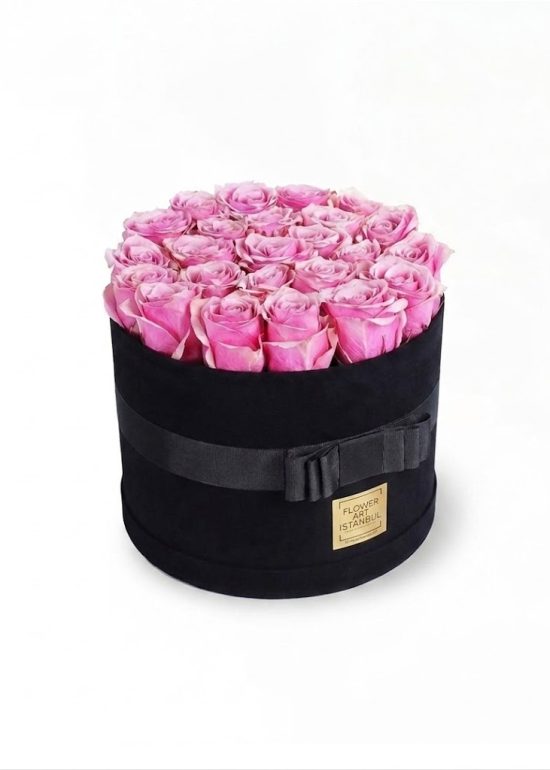 For My Princess