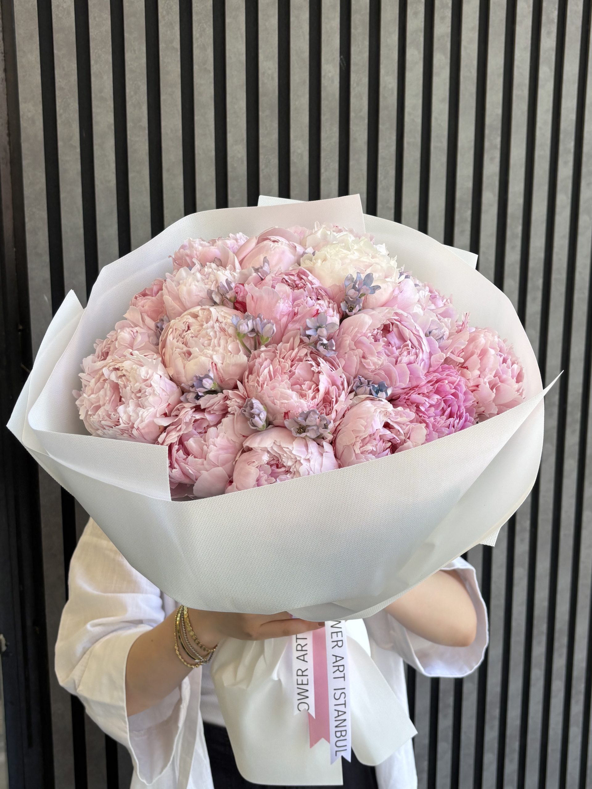 Anna Maria Peony (6)