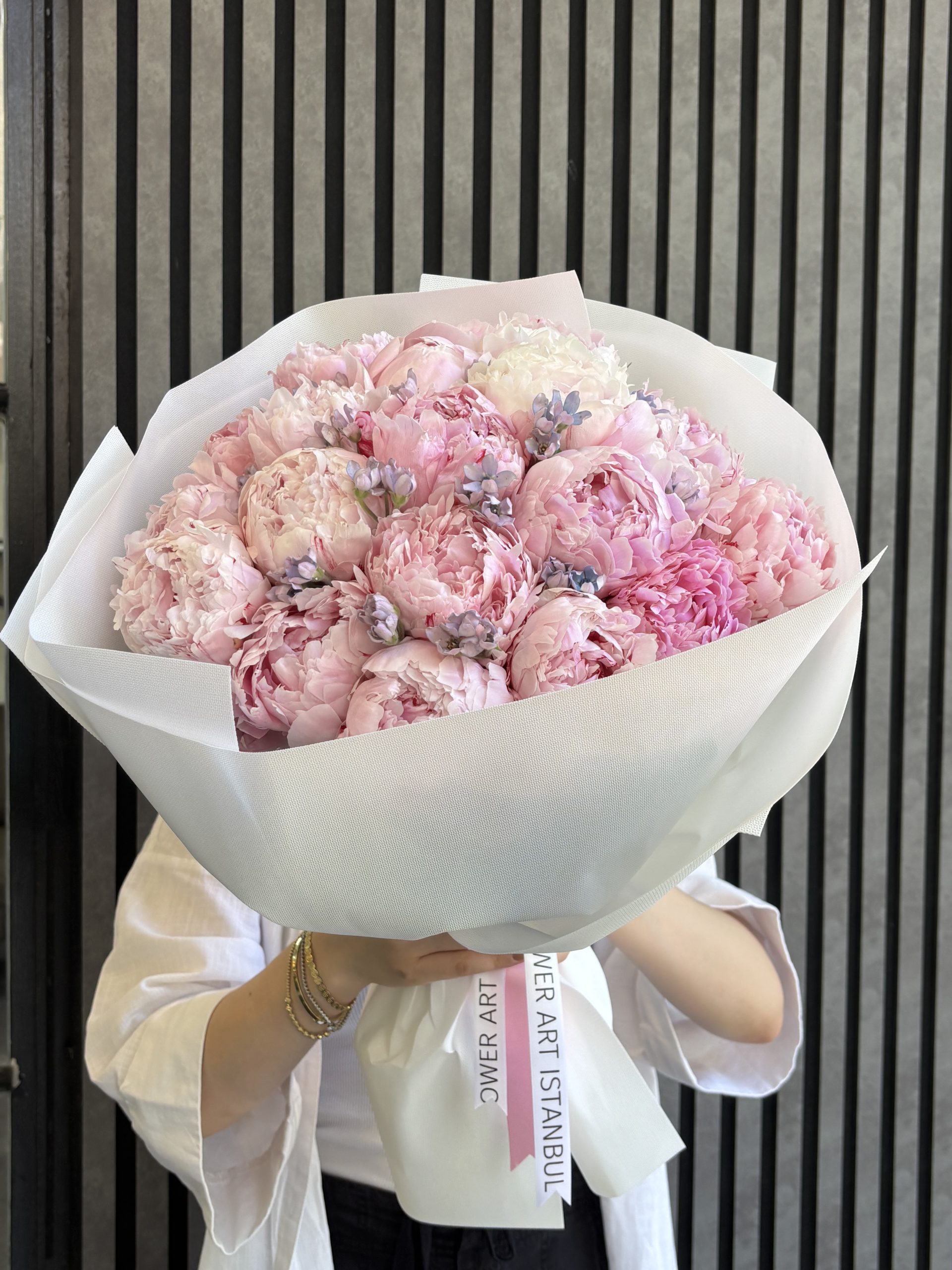Anna Maria Peony (8)