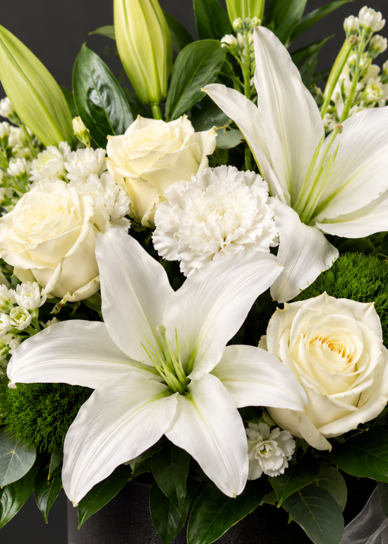 Midnight White Elegance