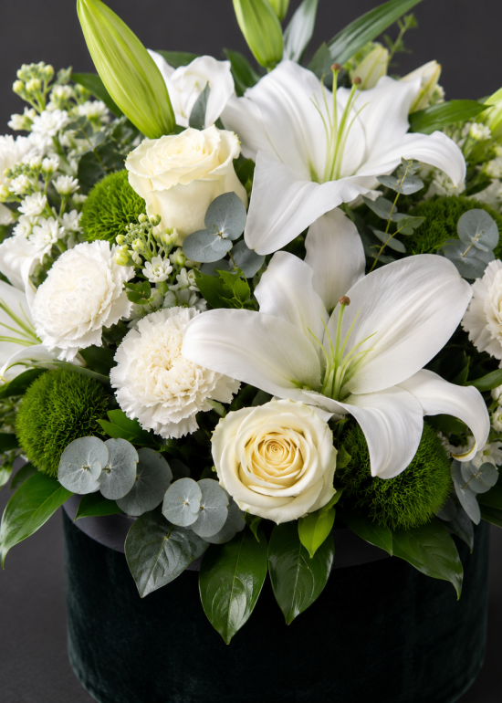 Midnight White Elegance