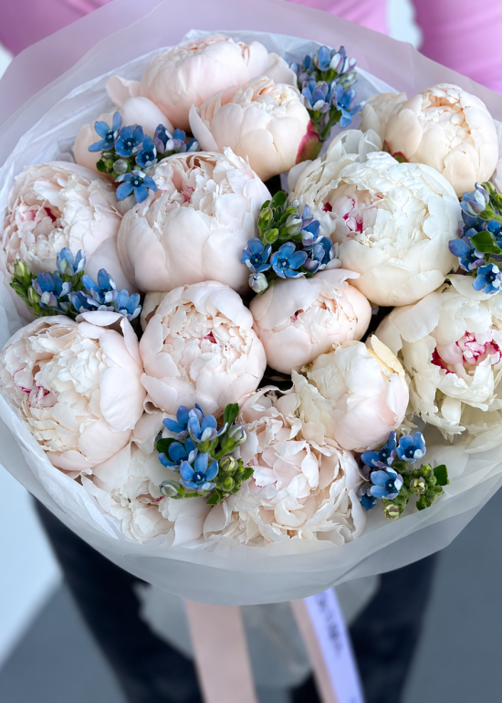 Pure Devotion – 15 White Peonies & Blue Oxypetalum Bouquet