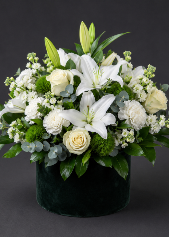 Midnight White Elegance