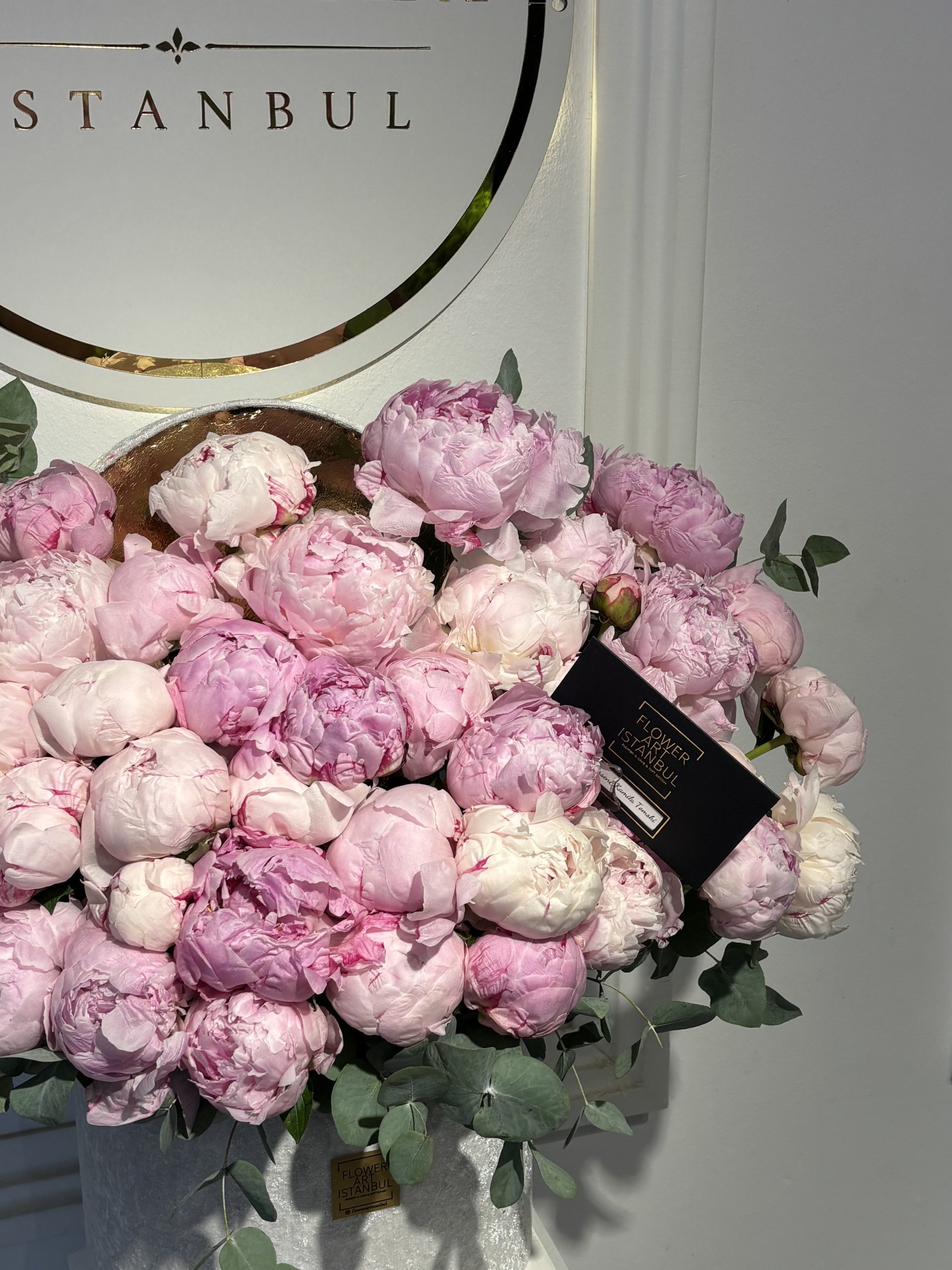 Peony Blancc (1)
