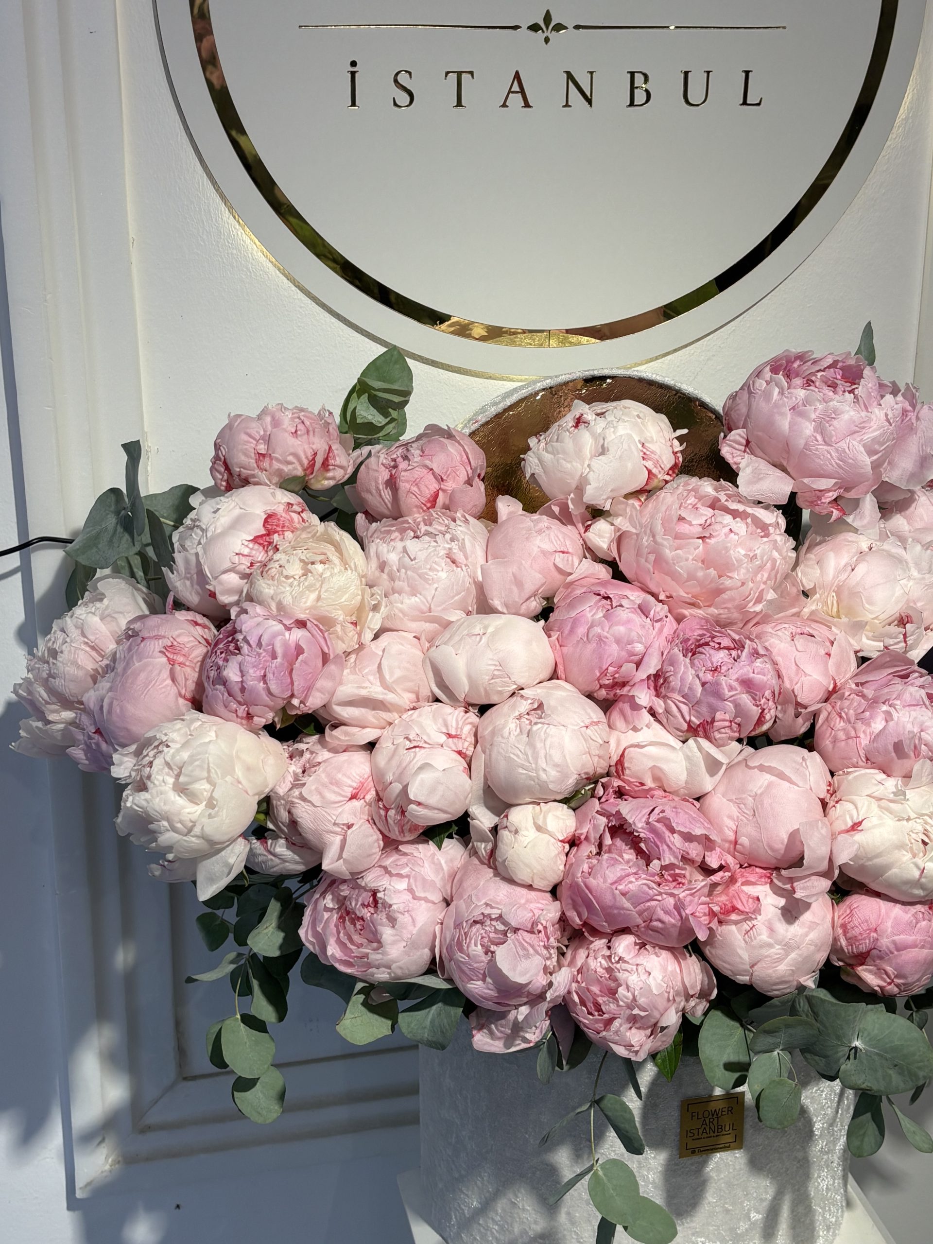 Peony Blancc (2)