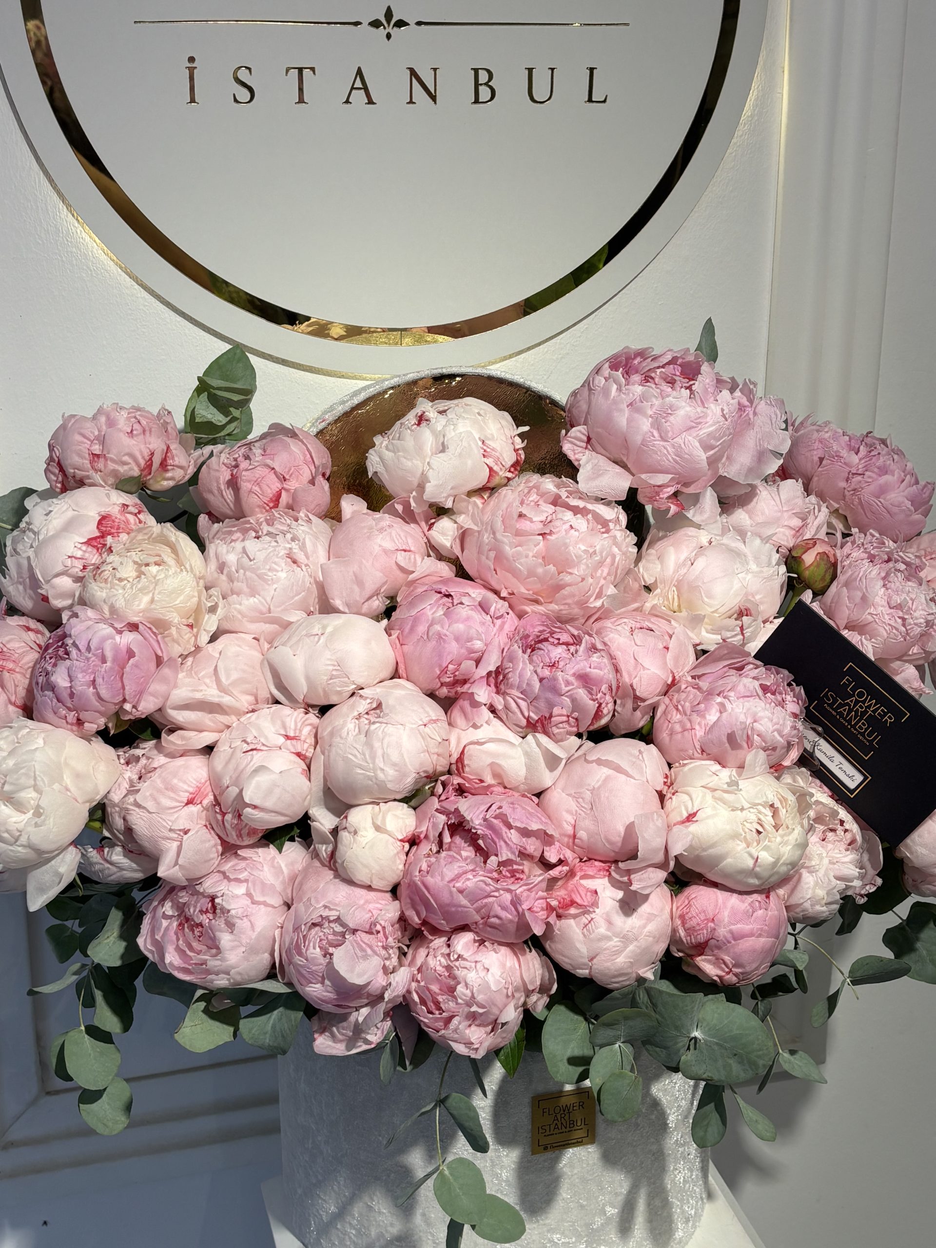 Peony Blancc (3)