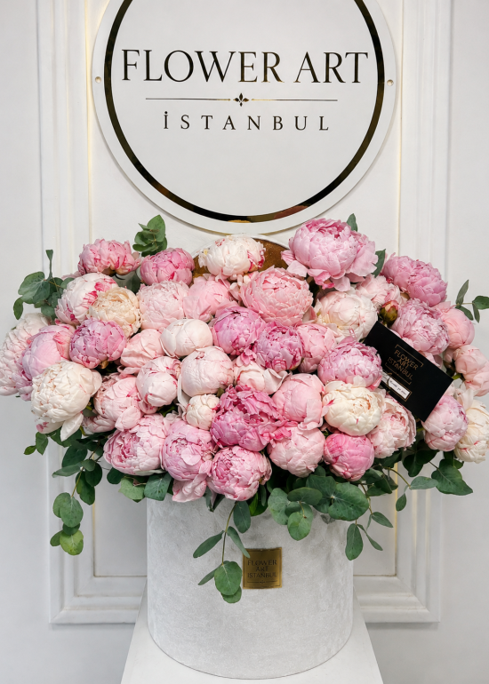 Peony Blanc